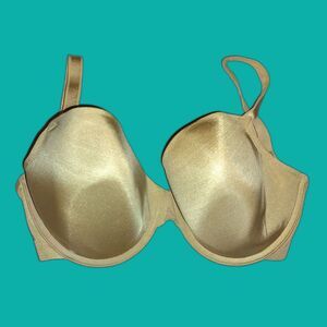 Panache Porcelain Elan 28K Bra T-Shirt Bra Seamless Plus Size Lingerie Tagless